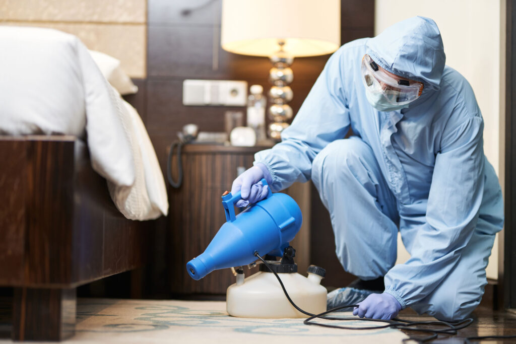 Quando Chiamare un Professionista: Affrontare un'Infestazione di Topi in Modo Efficace